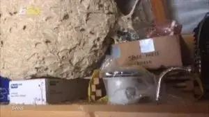 Ueltrasonic Pest Repeller Lawsuit-Fi