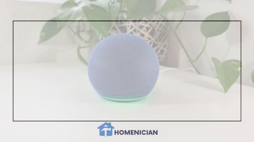 What Does Alexa Green Light Mean