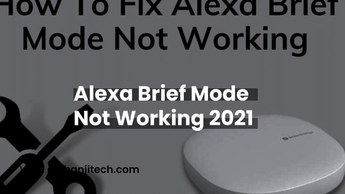 Alexa Brief Mode Not Working