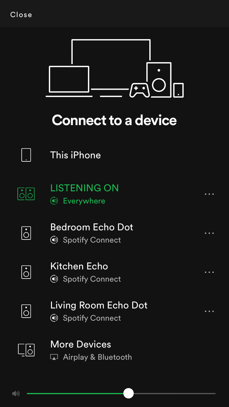 Alexa Wont Connect to Spotify