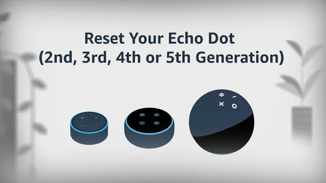 How to Reset Echo Dot