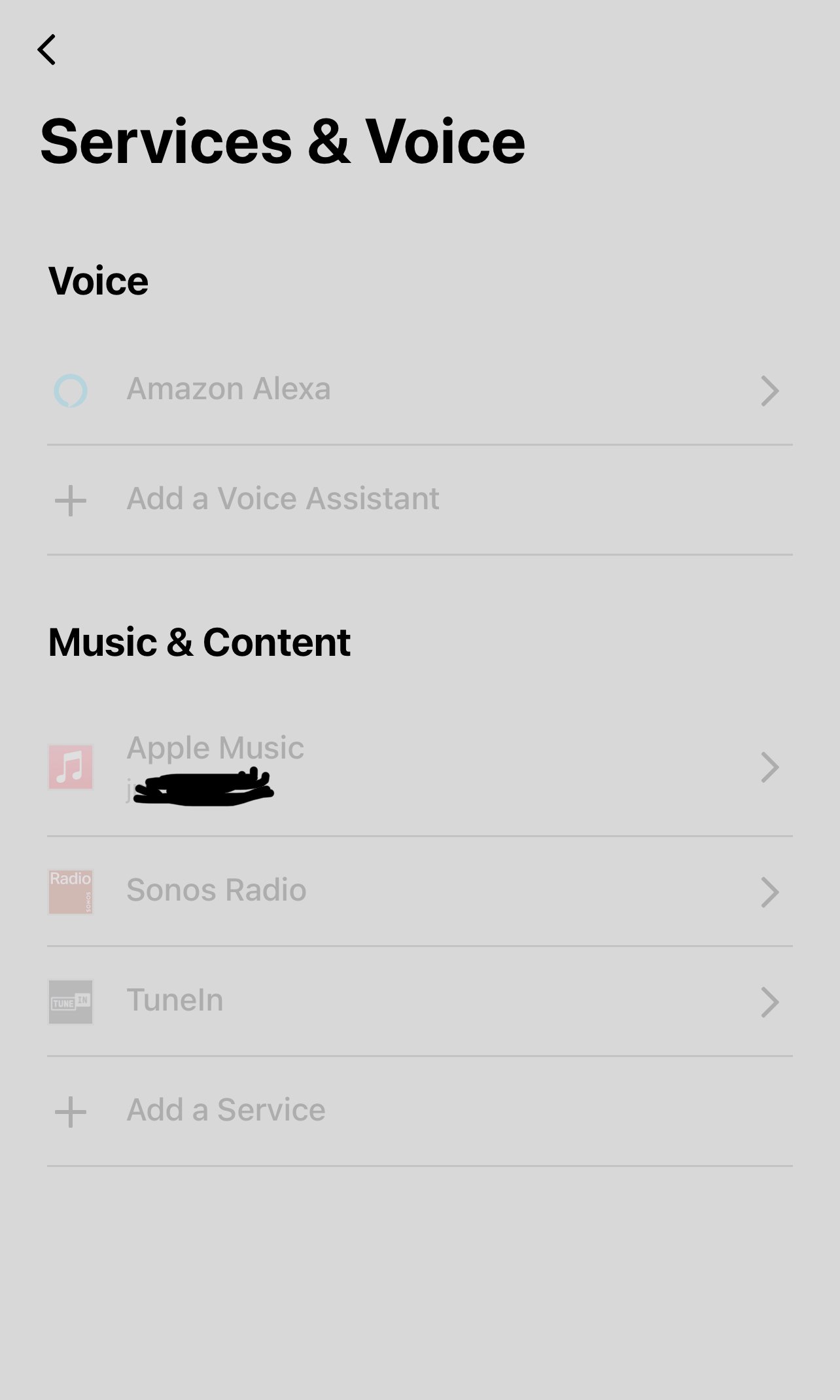 How to Resolve the Alexa Voice Service Error