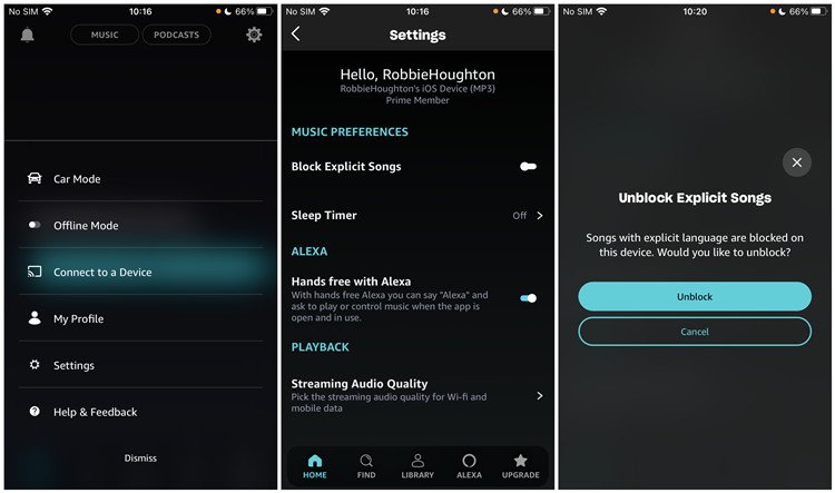 Alexa Explicit Filter